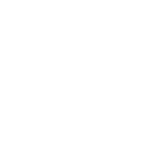 The Okoboji Store